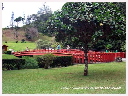 画像 476のコピー.jpg