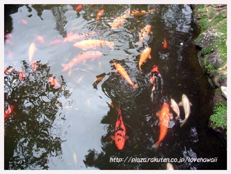 画像 470のコピー.jpg