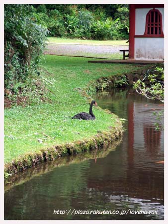 画像 467のコピー.jpg