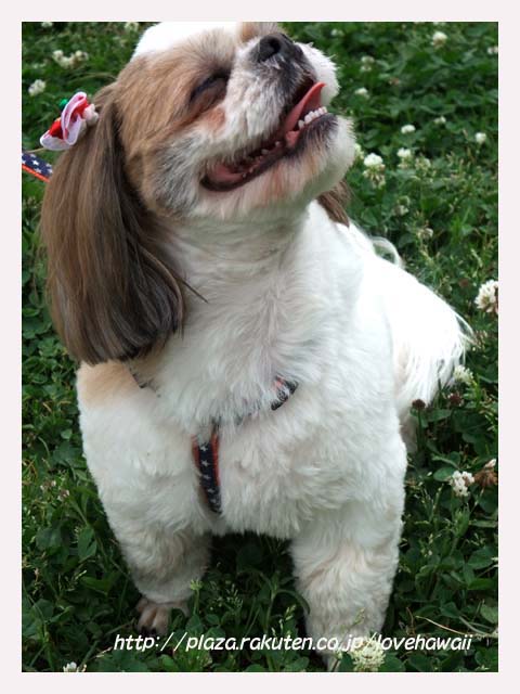 画像 499のコピー.jpg