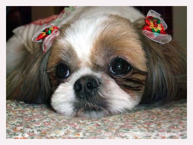 画像 511のコピー.jpg