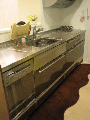 コピー ～ ie 251.jpg