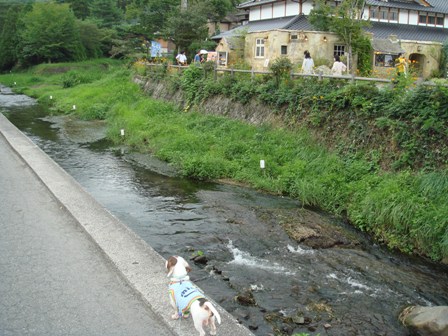 湯布院.JPG