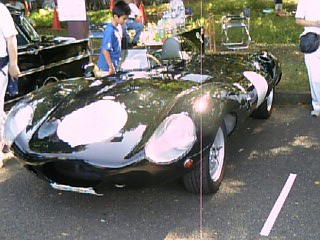 jaguer