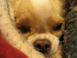 20050201004.JPG