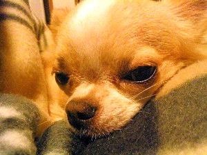 20050104005.JPG