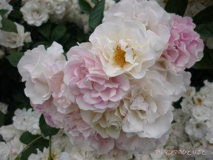 タウゼントシェーン