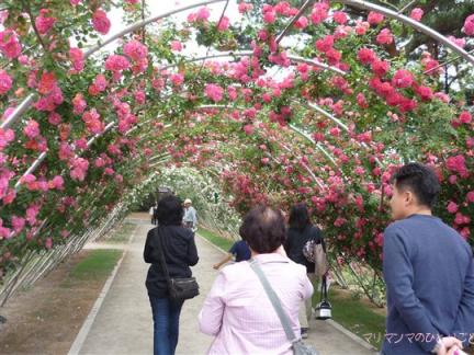春風とバタースコッチのアーチ