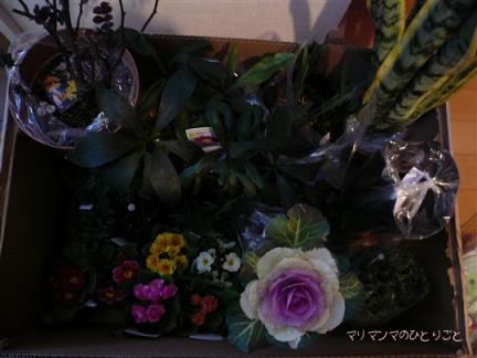 イングの森