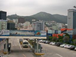 CIMG3619.JPG
