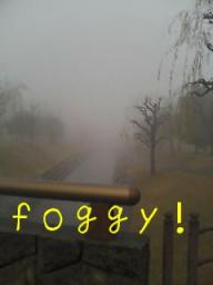 fog2