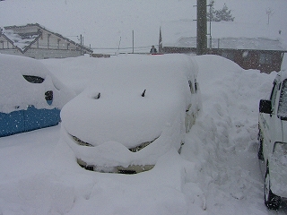 雪まみれ～