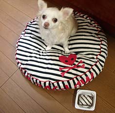 お誕生日ボタン