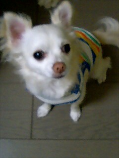 ほんとに？