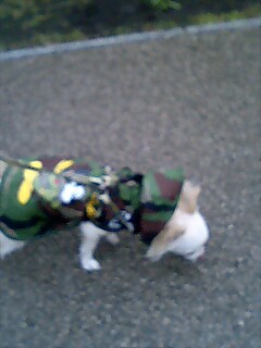 レインコートpart2