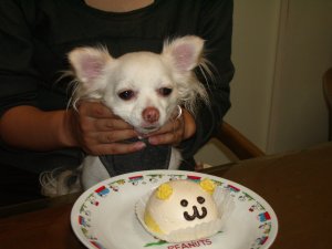 ふえー