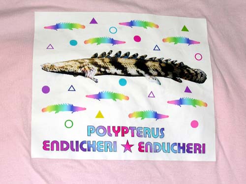 Ｔシャツピンクのデザイン