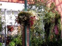 sikisai2