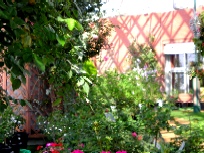 siksai3