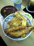 tendon