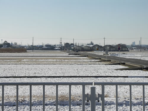 苺狩りの風景（その１）