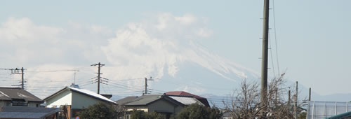 苺狩りの風景（その４）