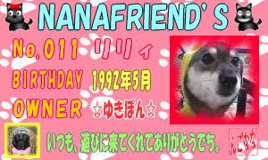 NANAFRIEND’S