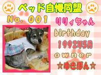 ベッド自慢同盟