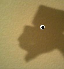 ゴリラに見えるかな(^_^;)