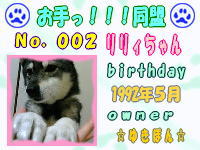 お手っ！！！同盟