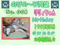 のびの～び同盟