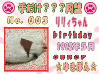 手だけ？？？同盟