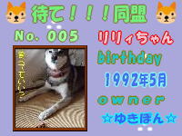 待て！！！同盟