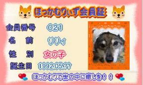 ほっかむりぃず会員証