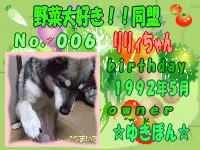 野菜大好き！！同盟