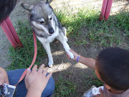 こんにちは～☆