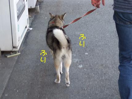 お尻ふりふり♪