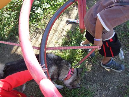 ついていけばいいんでしょ？