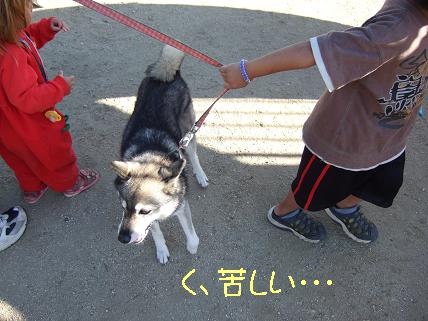 引っ張り過ぎだよ～