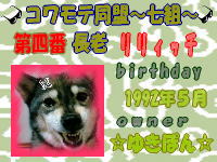 コワモテ同盟～七組～