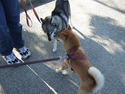 ちょっと怖いよ～