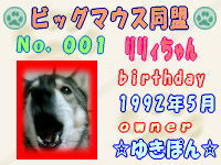 ビックマウス同盟