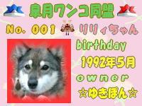 皐月ワンコ同盟