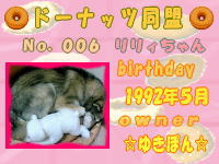 ドーナッツ同盟