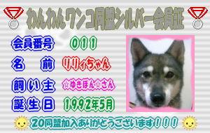 シルバー会員証