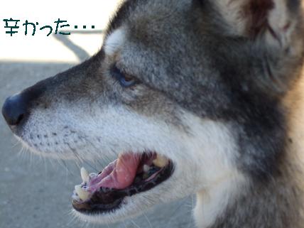 辛かったよ～