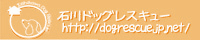 石川ドッグレスキューバナー