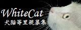 WhiteCatバナー