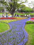 昭和記念公園２