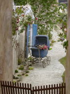 バラとガーデニングショー３